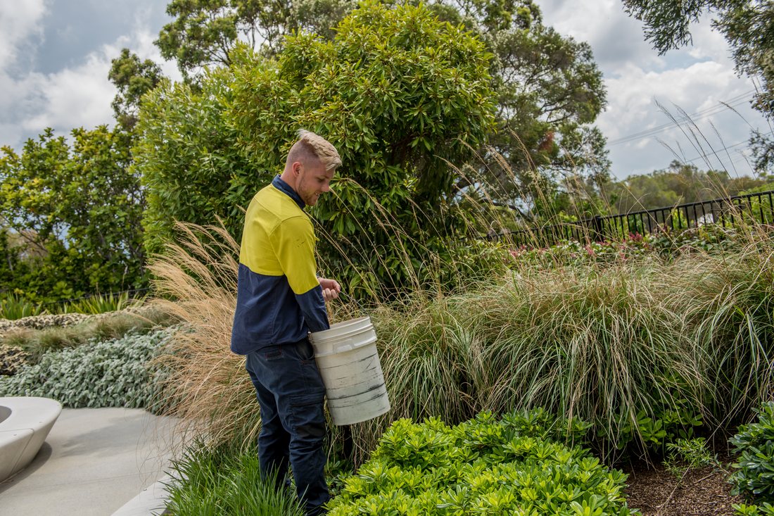 Garden Square — Grolife crew working on planter beds with ornamental grasses